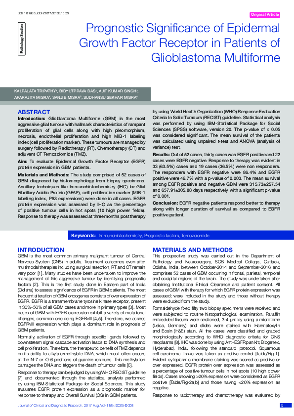 (PDF) Prognostic Significance of Epidermal Growth Factor Receptor in ...