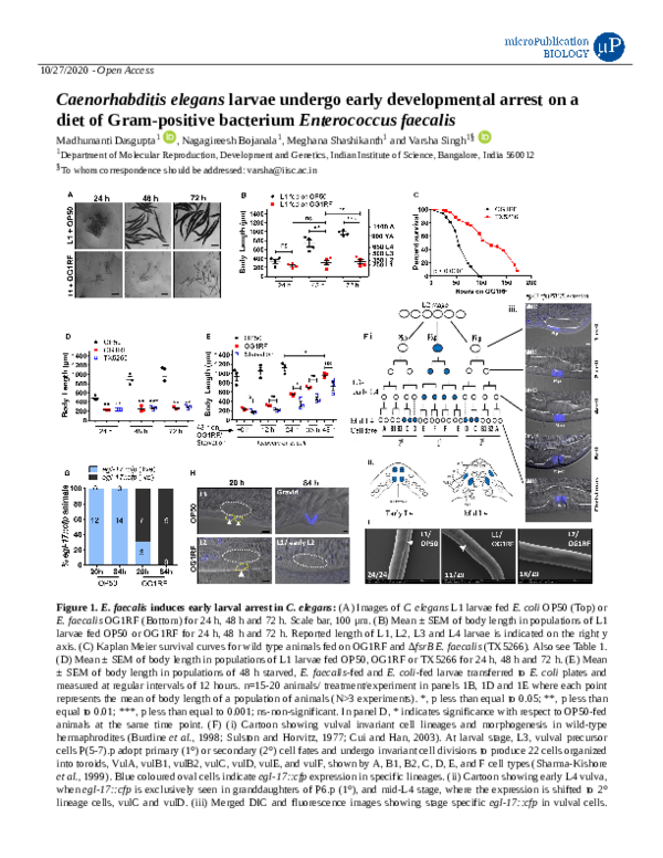 (PDF) Caenorhabditis elegans larvae undergo early developmental arrest ...