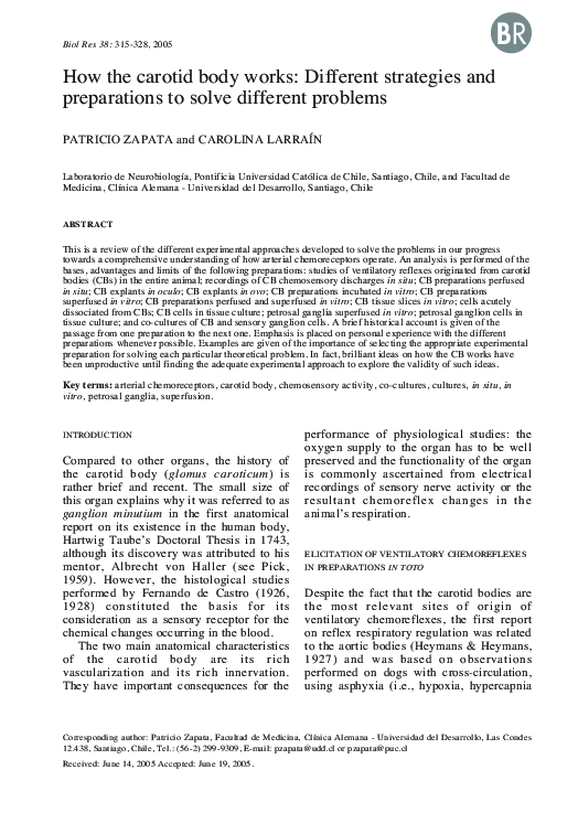 (PDF) How the Carotid Body Works: Different Strategies and Preparations ...