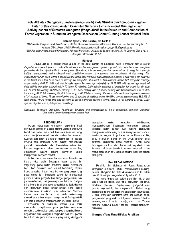 (PDF) Pola Aktivitas Orangutan Sumatera (Pongo Abelii) Pada Struktur ...