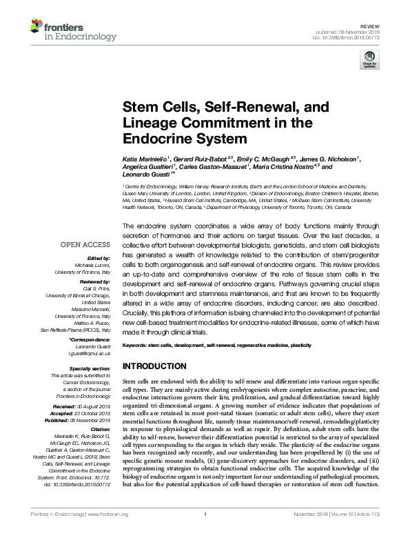 (PDF) Stem Cells, Self-Renewal, and Lineage Commitment in the Endocrine ...