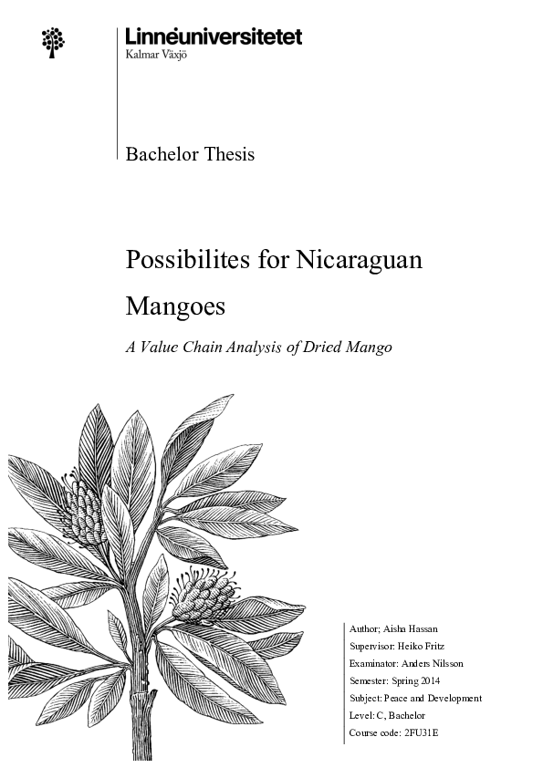 (PDF) Possibilities for Nicaraguan Mangoes : A Value Chain Analysis of ...