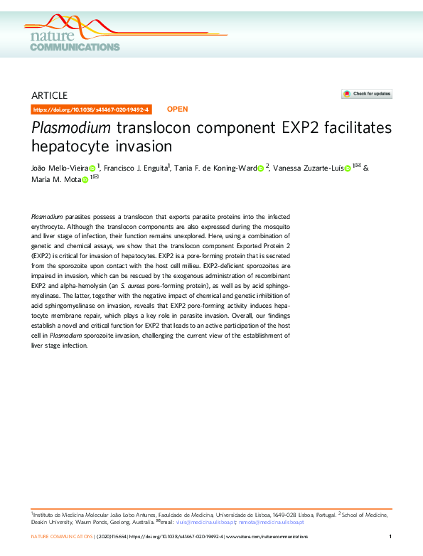 (PDF) Plasmodium translocon component EXP2 facilitates hepatocyte invasion