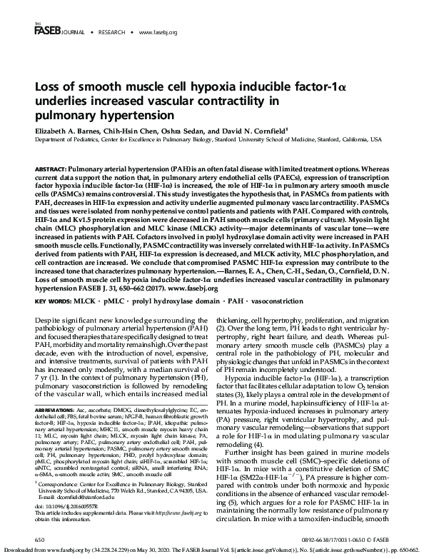 (PDF) Loss of smooth muscle cell hypoxia inducible factor-1α underlies ...