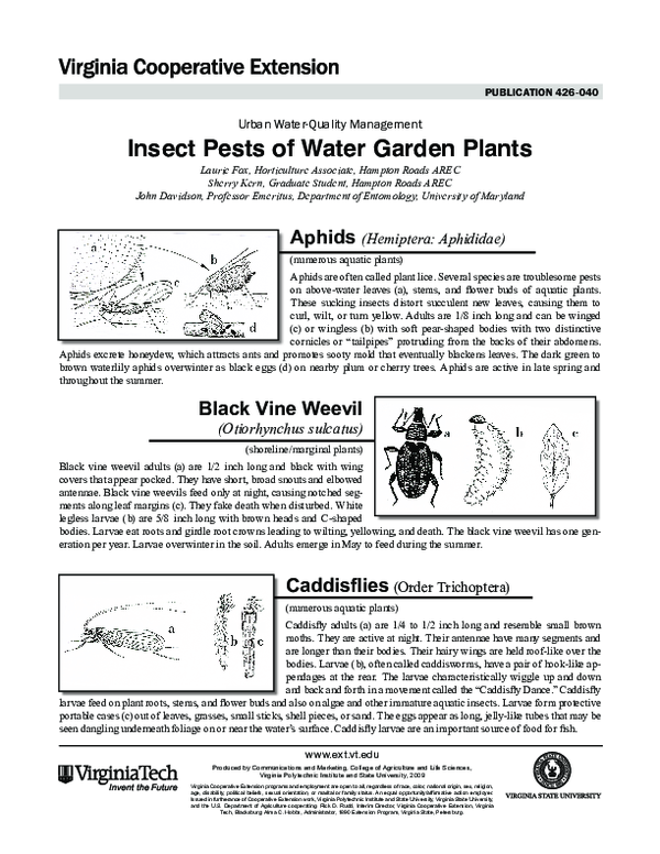 (PDF) Urban Water-Quality Management. Insect Pests of Water Garden Plants