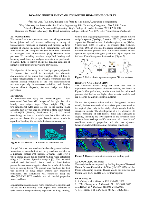 (PDF) Dynamic Finite Element Analysis of the Human Foot Complex