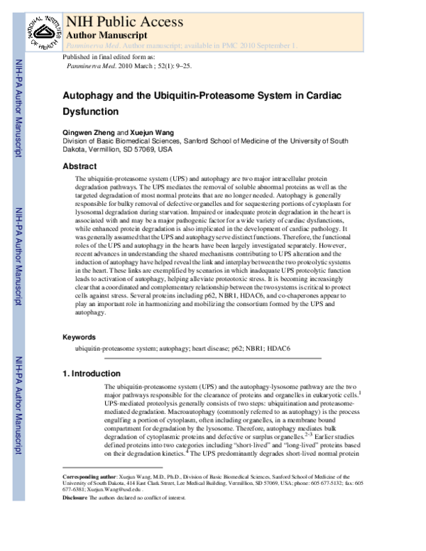 (PDF) Autophagy and the ubiquitin-proteasome system in cardiac dysfunction