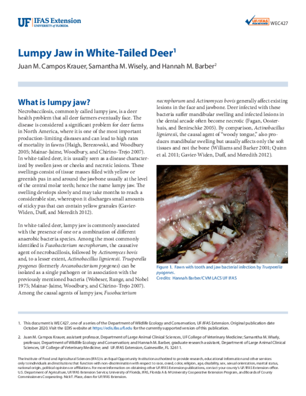 (PDF) Lumpy Jaw in White-tailed Deer