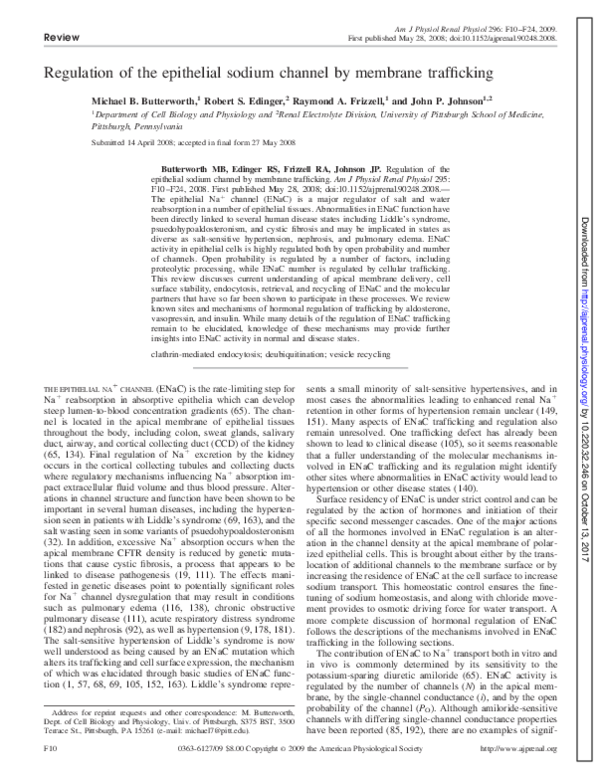 (PDF) Regulation of the epithelial sodium channel by membrane trafficking