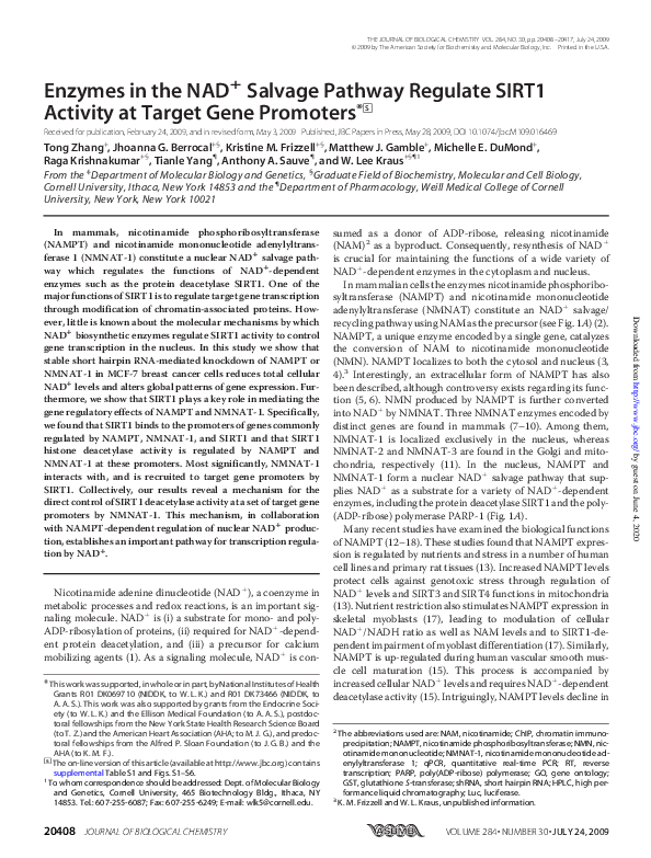 (PDF) Enzymes in the NAD+ salvage pathway regulate SIRT1 activity at ...