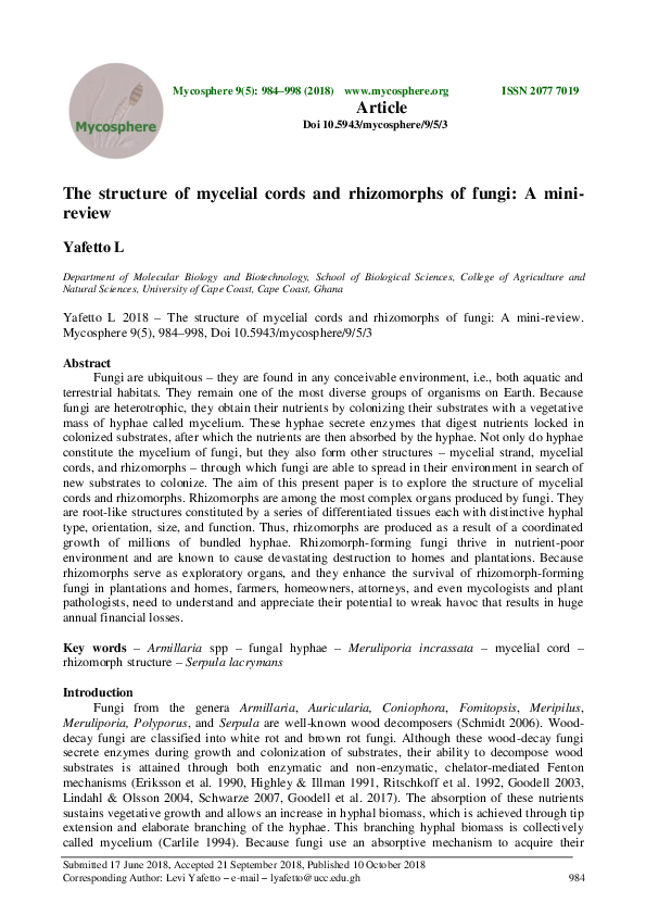 (PDF) The structure of mycelial cords and rhizomorphs of fungi: A ...