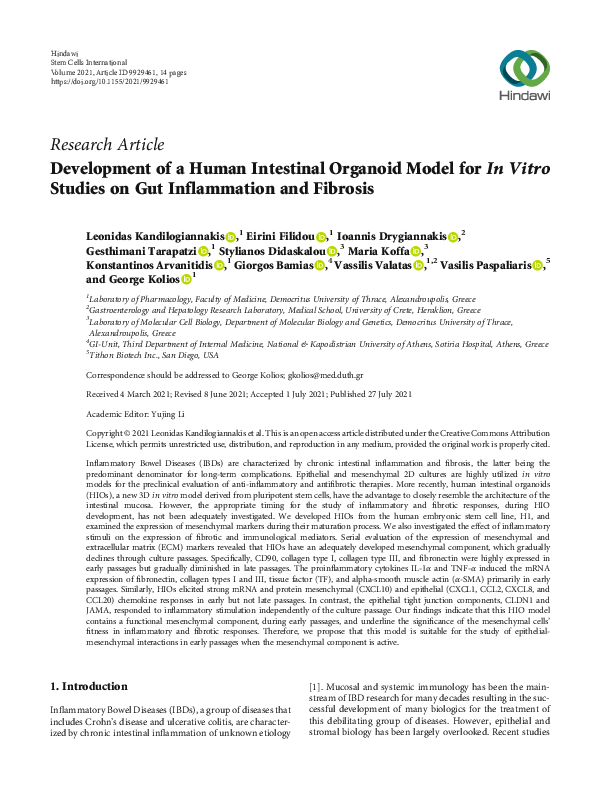 (PDF) Development of a Human Intestinal Organoid Model for In Vitro ...