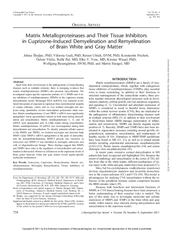 (PDF) Matrix Metalloproteinases and Their Tissue Inhibitors in ...