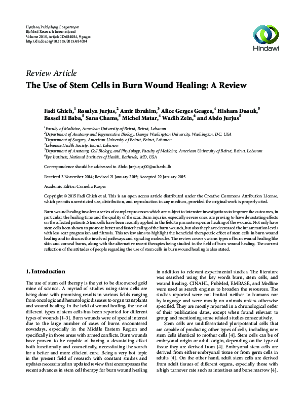 (PDF) The Use of Stem Cells in Burn Wound Healing: A Review