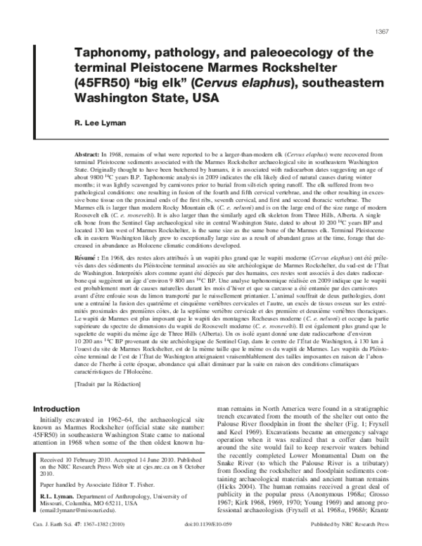 (PDF) Taphonomy, pathology, and paleoecology of the terminal ...