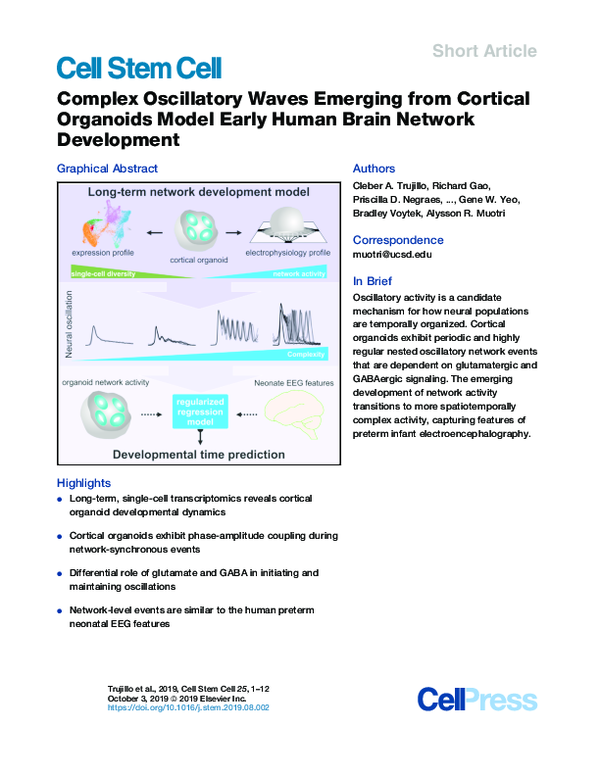 (PDF) Complex Oscillatory Waves Emerging from Cortical Organoids Model ...