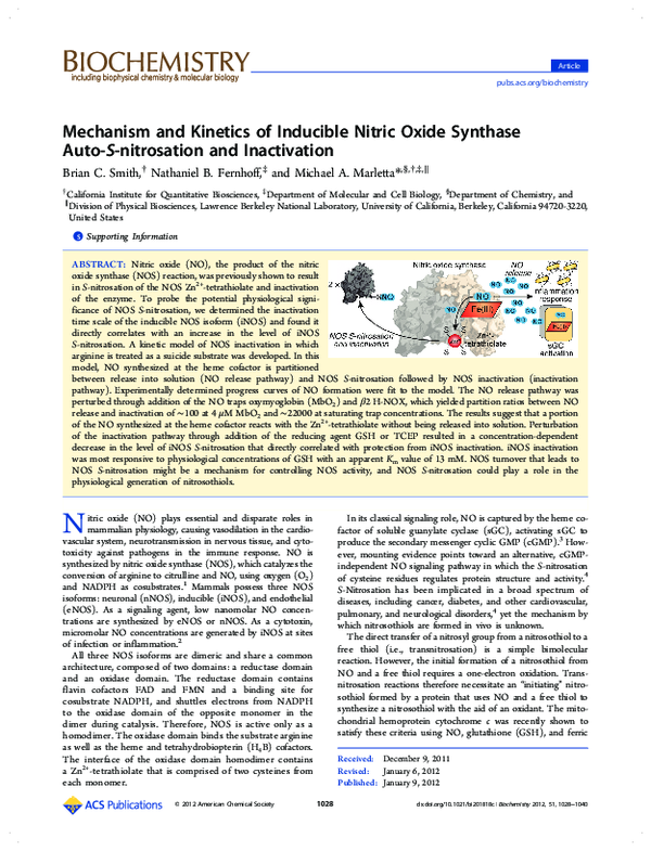 (PDF) Mechanism and Kinetics of Inducible Nitric Oxide Synthase Auto- S ...