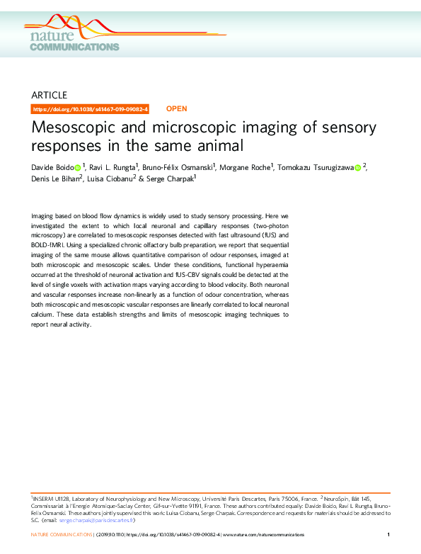 (PDF) Mesoscopic and microscopic imaging of sensory responses in the ...