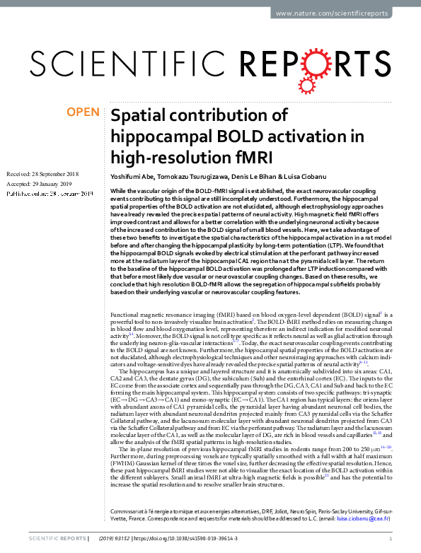 (PDF) Spatial contribution of hippocampal BOLD activation in high ...