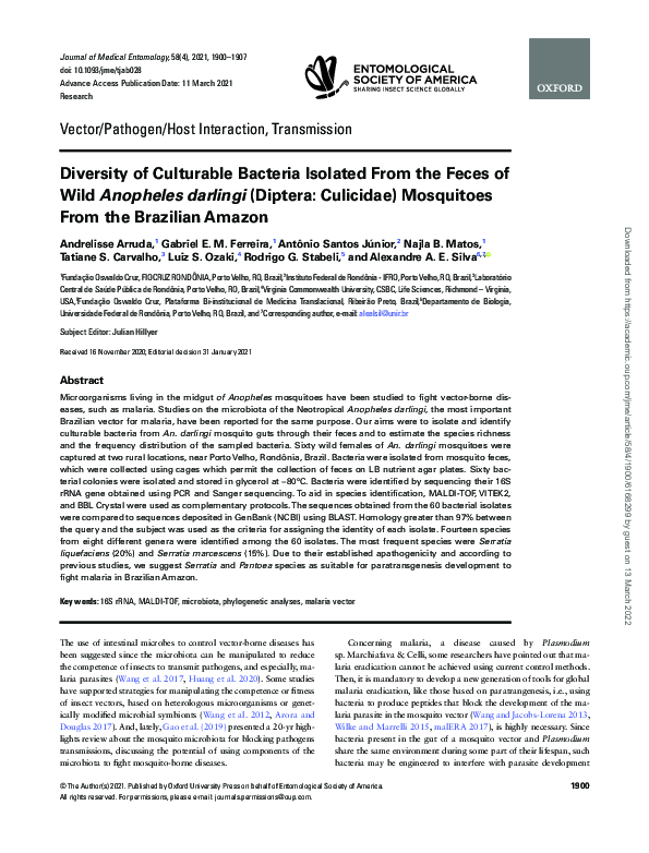 (PDF) Diversity of Culturable Bacteria Isolated From the Feces of Wild ...