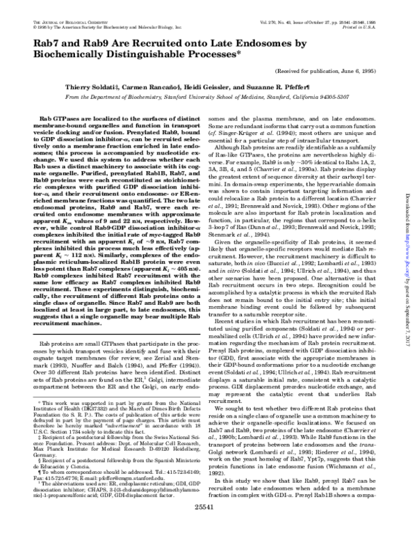 (PDF) Rab7 and Rab9 are recruited onto late endosomes by biochemically ...