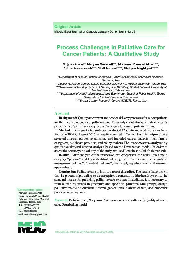(PDF) Process Challenges in Palliative Care for Cancer Patients: A ...