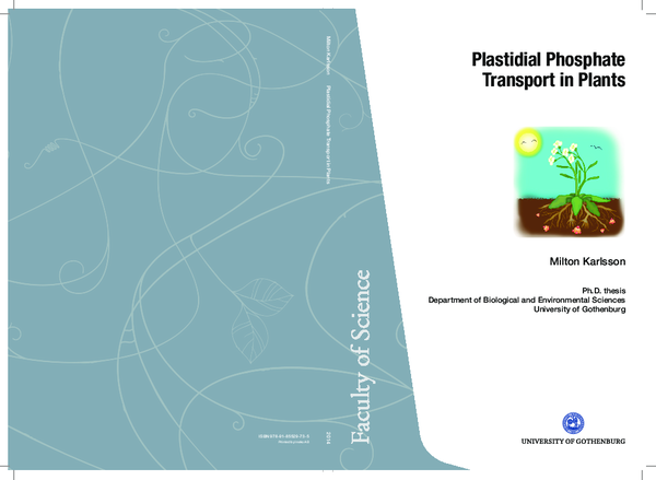 (PDF) Plastidial Phosphate Transport in Plants Plastidial Phosphate ...