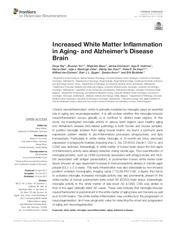 (PDF) Increased White Matter Inflammation in Aging- and Alzheimer's ...