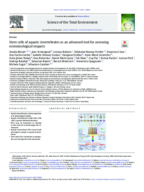(PDF) Stem cells of aquatic invertebrates as an advanced tool for ...