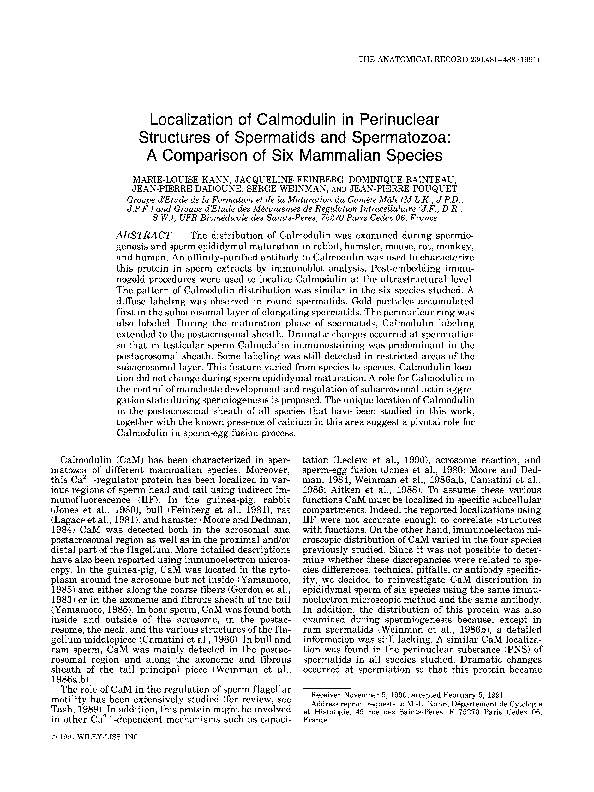 (PDF) Localization of Calmodulin in perinuclear structures of ...