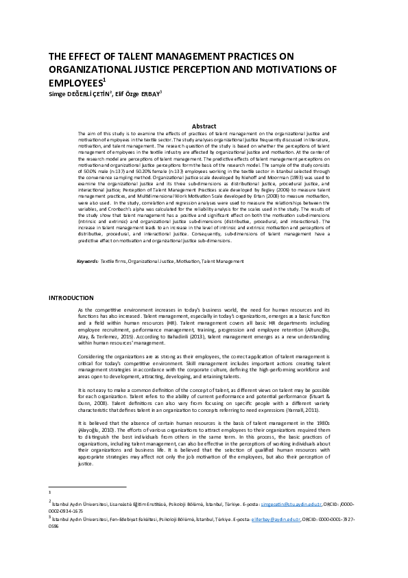 (DOC) THE EFFECT OF TALENT MANAGEMENT PRACTICES ON ORGANIZATIONAL ...