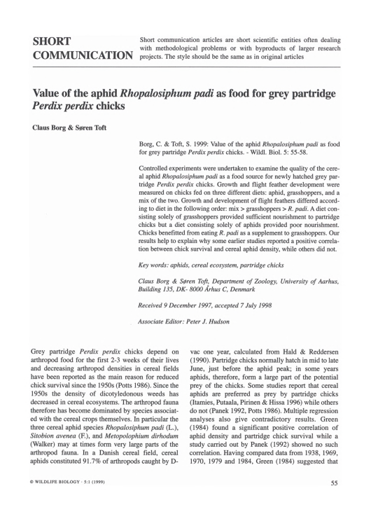 (PDF) Value of the aphid Rhopalosiphum padi as food for grey partridge ...