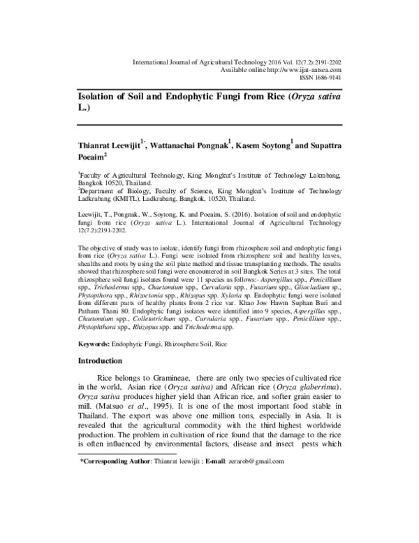 (PDF) Isolation of Soil and Endophytic Fungi from Rice (Oryza sativa L.)