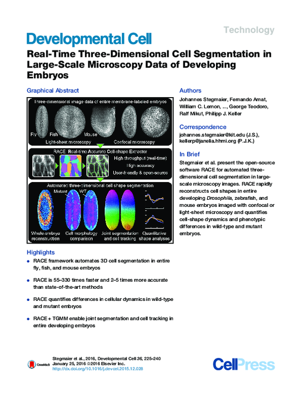(PDF) Real-Time Three-Dimensional Cell Segmentation in Large-Scale ...