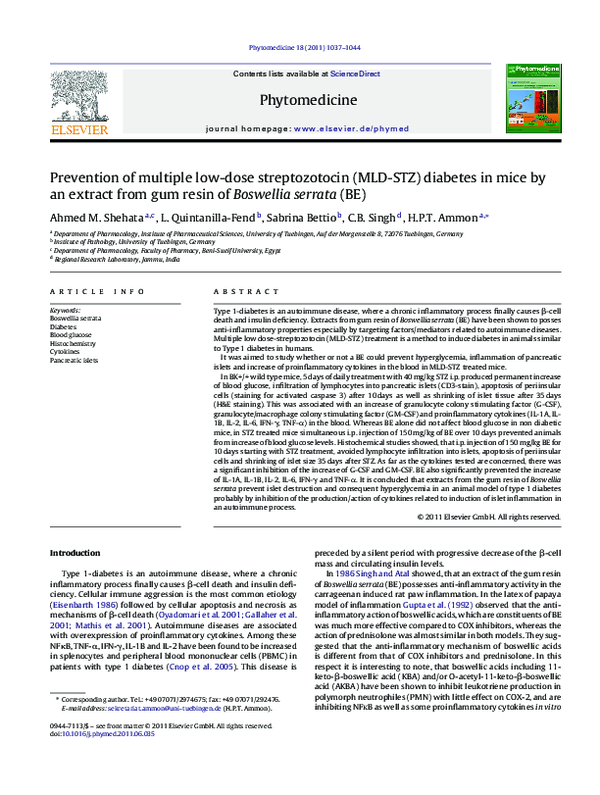 Dose Streptozotocin Mld preview