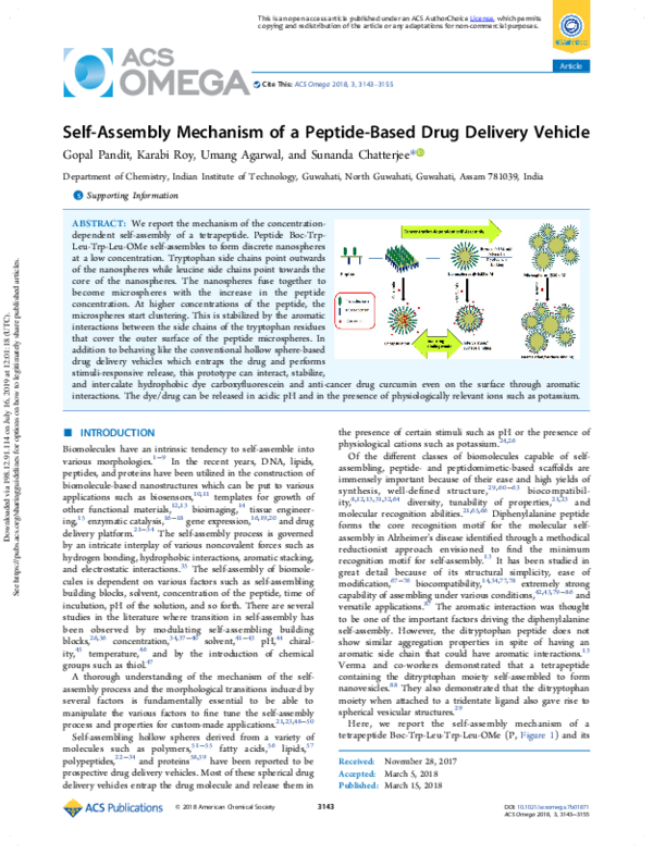 (PDF) Self-Assembly Mechanism of a Peptide-Based Drug Delivery Vehicle