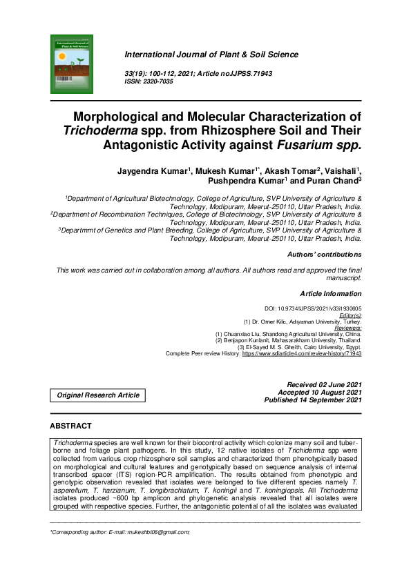 (PDF) Morphological and Molecular Characterization of Trichoderma spp ...