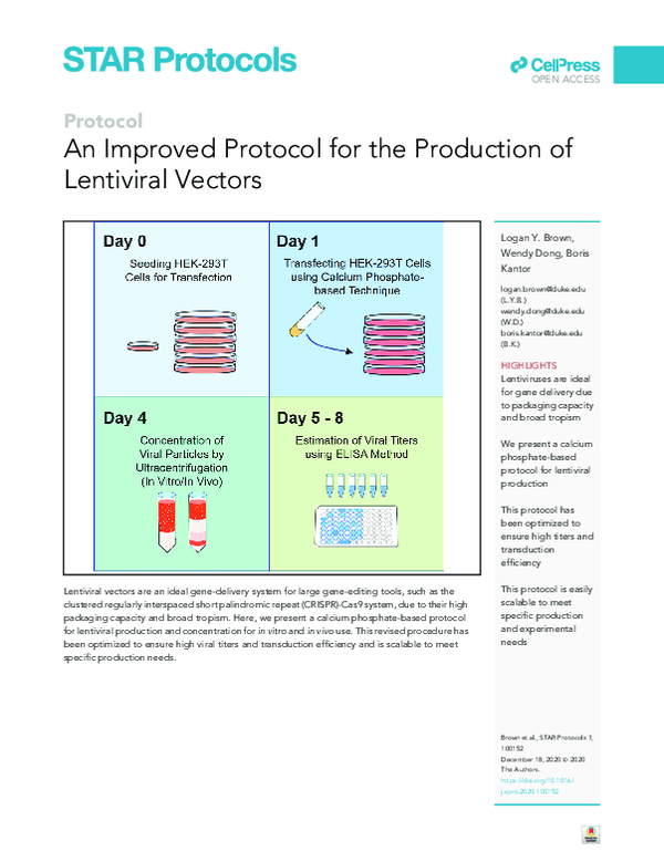 (PDF) An Improved Protocol for the Production of Lentiviral Vectors