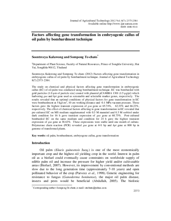 (PDF) Factors affecting gene transformation in embryogenic callus of ...