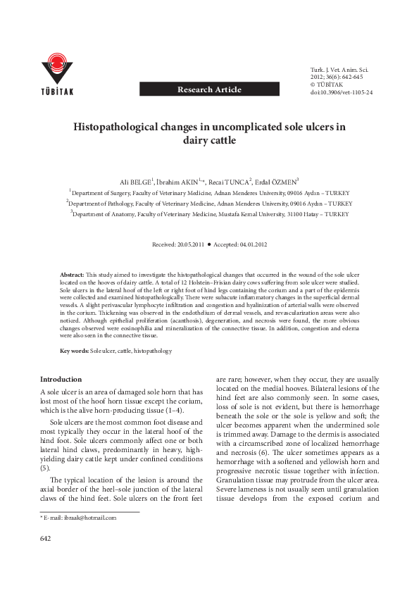 (PDF) Histopathological changes in sole ulcers in dairy
