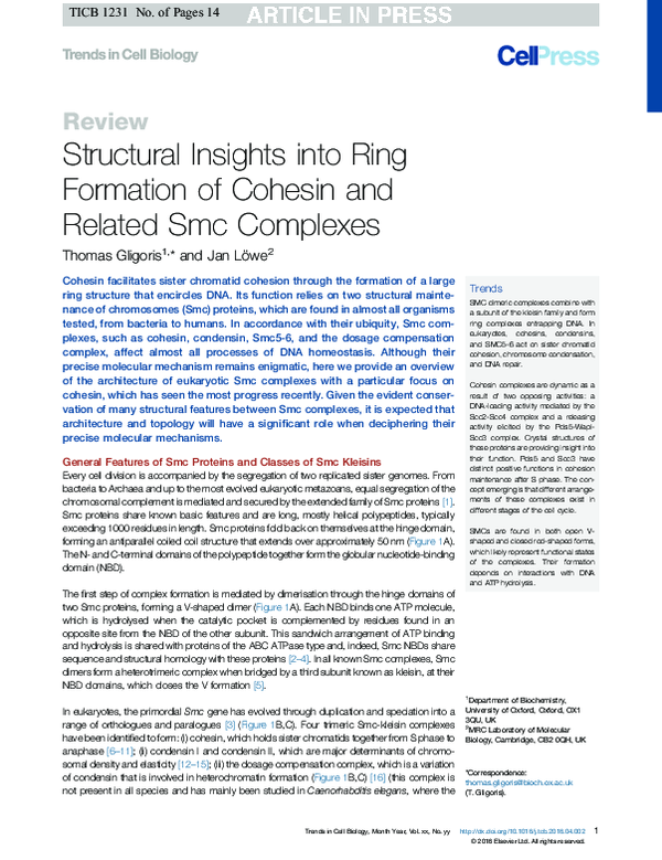 (PDF) Structural Insights into Ring Formation of Cohesin and Related ...