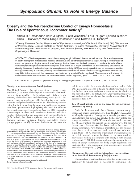 (PDF) Obesity and the neuroendocrine control of energy homeostasis: the ...