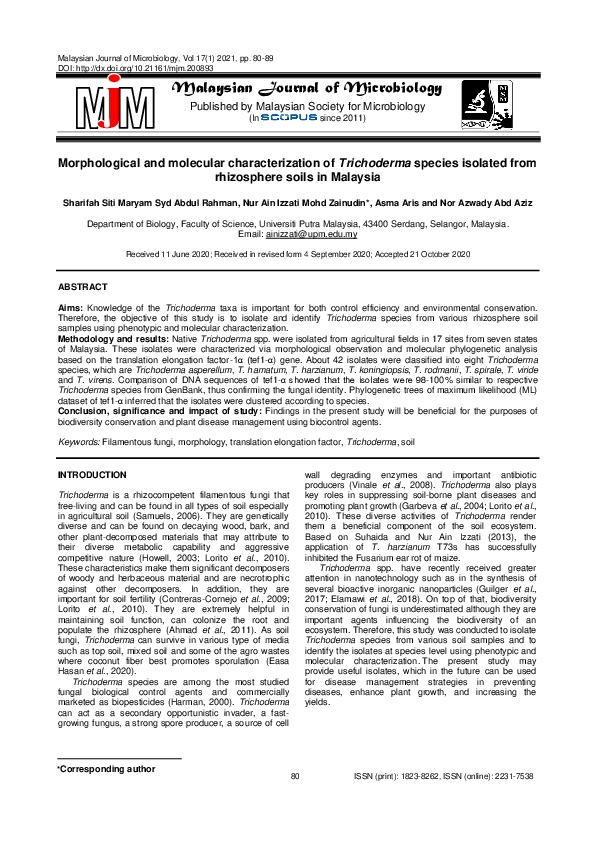 (PDF) Morphological and molecular characterization of Trichoderma ...