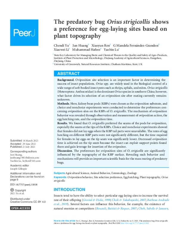 (PDF) The predatory bug Orius strigicollis shows a preference for egg ...