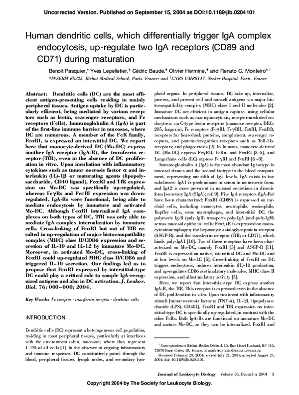 (PDF) Human dendritic cells, which differentially trigger IgA complex ...