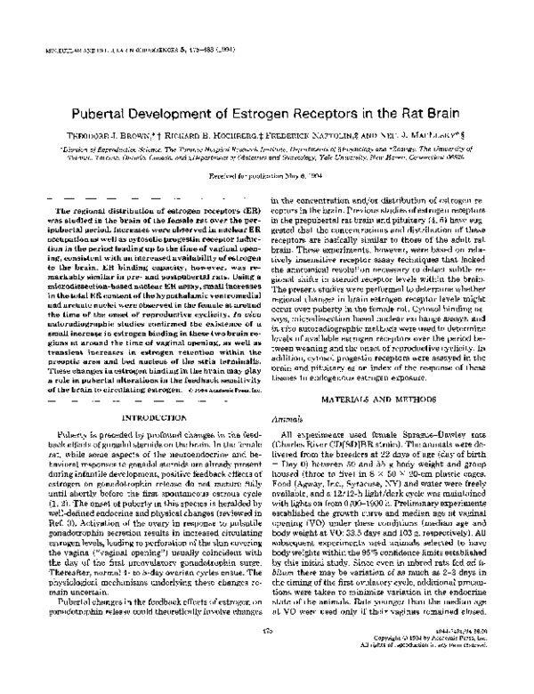 (PDF) Pubertal Development of Estrogen Receptors in the Rat Brain ...