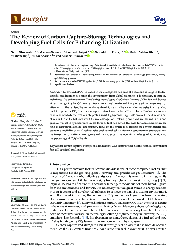 PDF) The Review of Carbon Capture-Storage Technologies and