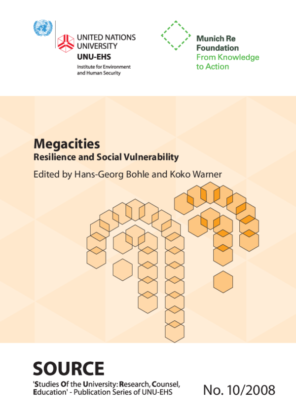 (PDF) Megacities Resilience and Social Vulnerability