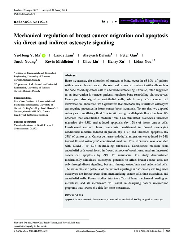 (PDF) Mechanical regulation of breast cancer migration and apoptosis ...
