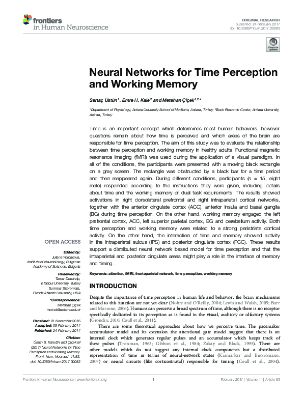 (PDF) Neural Networks for Time Perception and Working Memory